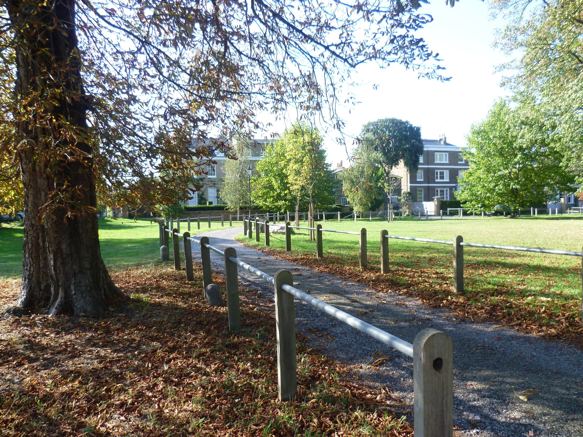 Gravel path beside a wooden post-and-rail fence under an autumn chestnut tree, with Georgian houses across the common