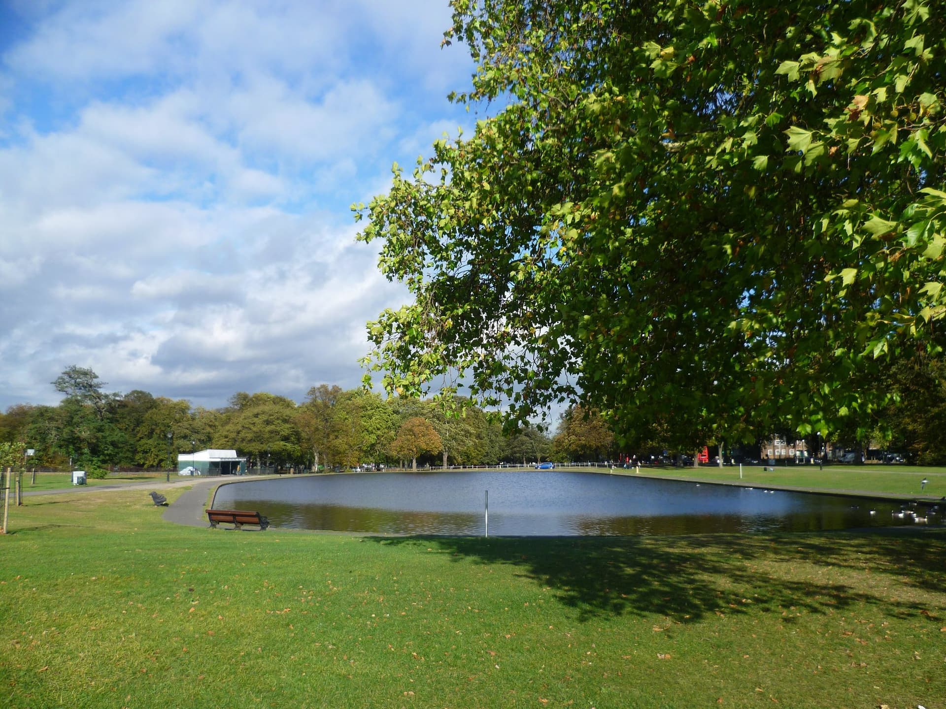 Long Pond, Clapham Common - geograph.org.uk - 2644474